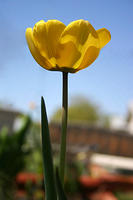 IMG_3809a