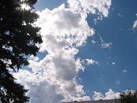 Montana