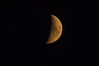 The moon is orangeish becuase of the fires.