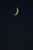 CRW_9779a