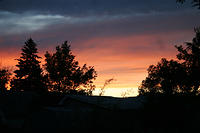 IMG_0005a