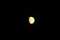 IMG_0302a