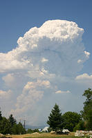 IMG_0555a
