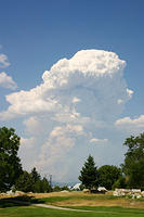 IMG_0556a