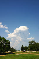 IMG_0557a