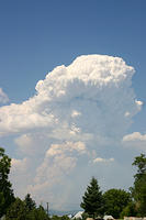 IMG_0558a