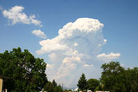 IMG_0559a