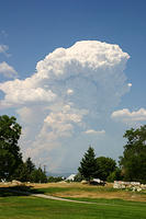 IMG_0562a