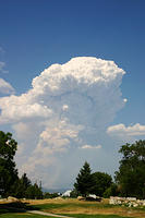 IMG_0563a