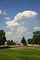 IMG_0564a