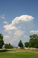 IMG_0565a