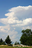 IMG_0570a