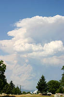 IMG_0571a