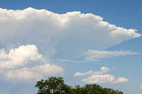IMG_0572a