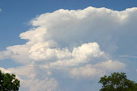 IMG_0573a