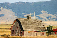 IMG_9718a