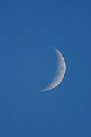 IMG_9768a