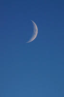 IMG_9776a