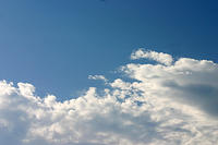 Sky, obviously.