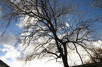 Random sky picture