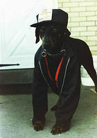 Damien