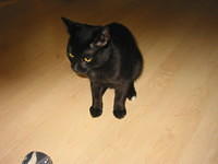 Rio again. 10/5/03
