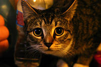 IMG_4280a