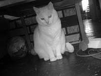 She took this one of Lacy, not bad. :)