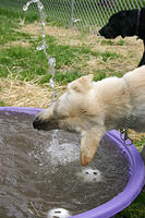 IMG_0002a