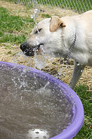 IMG_0003a