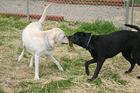 IMG_0008a.jpg