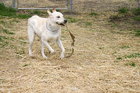 IMG_0010a.jpg