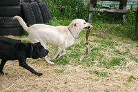 IMG_0014a.jpg