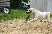 IMG_0019a.jpg