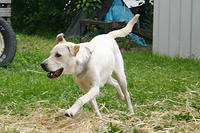 IMG_0022a.jpg