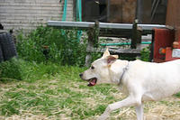 IMG_0023a.jpg