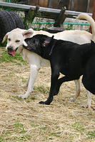 IMG_0032a