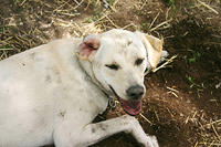 IMG_0036a