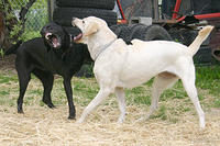 IMG_0065a