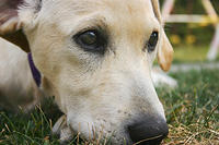 IMG_6994a