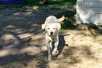 IMG_9665a