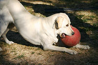 IMG_9672a