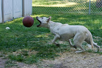 IMG_9674a