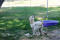 IMG_9676a