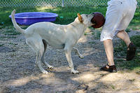 IMG_9678a
