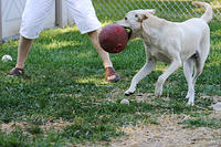 IMG_9681a