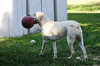 IMG_9683a
