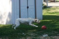 IMG_9688a
