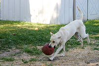 IMG_9689a