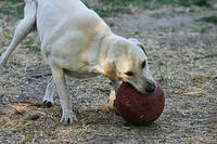 IMG_9699s